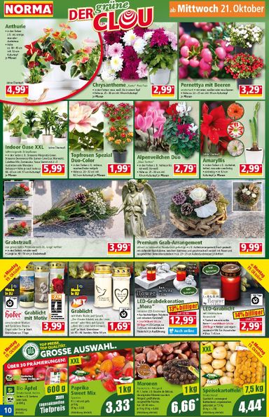 Prospekt Norma - Norma gültig ab 19.10. bis 24.10. - seite 10