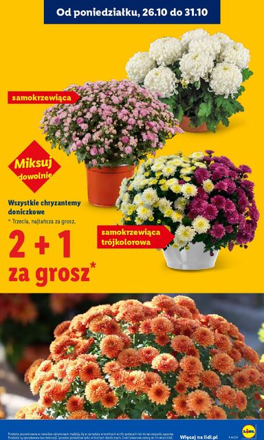 Leták Lidl Polsko - Lidl Polsko od 29.10. do 31.10. - strana 5