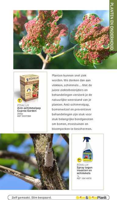 Folder Brico - Brico - Tuin catalogus van 01/03 tot 31/12 - side 153