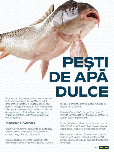 Catalogul Metro - Metro - Spui pește proaspăt de la 01.10. până la 31.12. - pagina 42