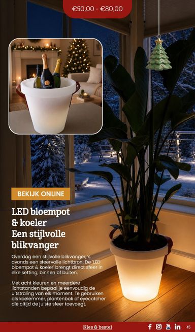 Folder Makro - Makro - Kerstpaketten catalogus van 20-10 tot 31-12 - side 45
