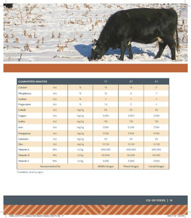 Flyer Co-op - Coop - Rural Routes valid since 01-15 until 01-06 - page 17