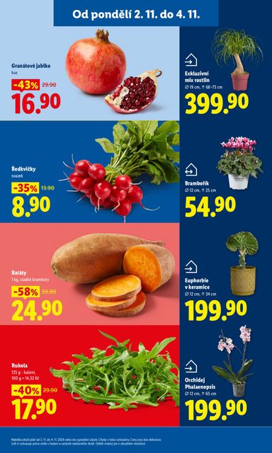 Leták Lidl - Lidl od 02.11. do 04.11. - strana 11