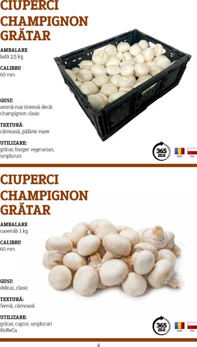 Catalogul Metro - Metro - Catalog Varietăți de Ciuperci de la 10.11. până la 31.10. - pagina 4