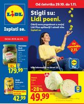 Lidl katalog