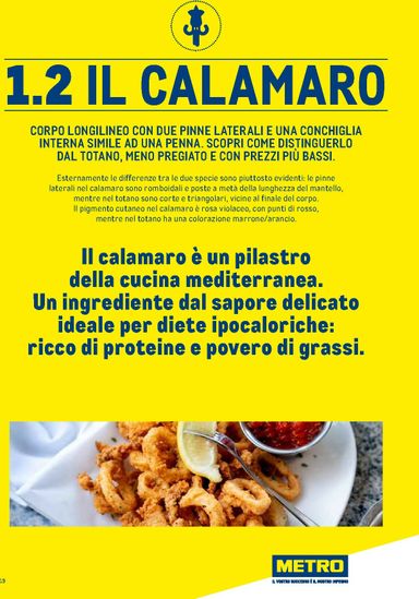Volantino METRO - Metro - Catalogo Surgelati valido dal 01/01 al 31/12 - pagina 19
