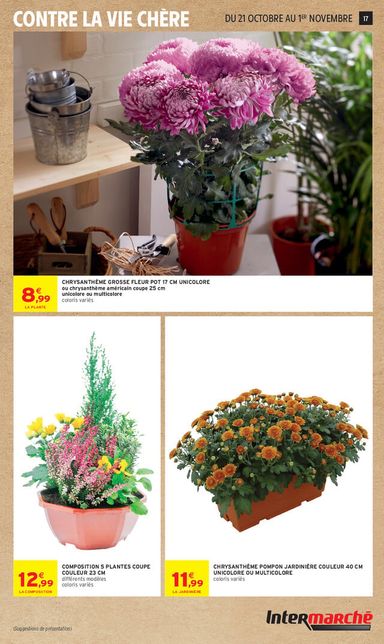 Catalogue Intermarché - Intermarché Hyper valable dès le 20/10 au 01/11 - page 17