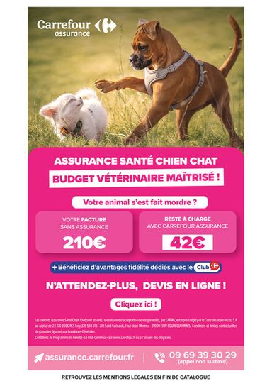 Catalogue Carrefour Market - Carrefour Market valable dès le 20/10 au 01/11 - page 58