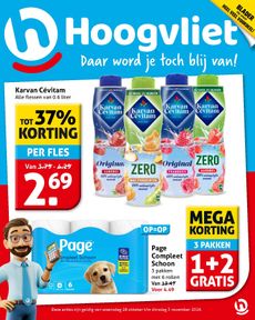 Hoogvliet
