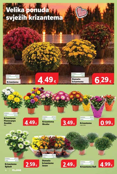 Katalog Plodine - Plodine vrijedi od 14.10. do 20.10. - stranica 4