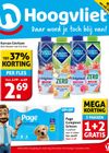 Hoogvliet
