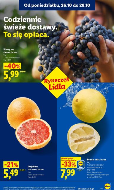 Gazetka Lidl - Lidl od 26.10. do 31.10. - strona 41