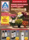 ALDI - Znicze i stroiki