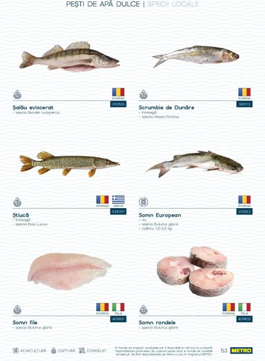 Catalogul Metro - Metro - Spui pește proaspăt de la 01.10. până la 31.12. - pagina 53