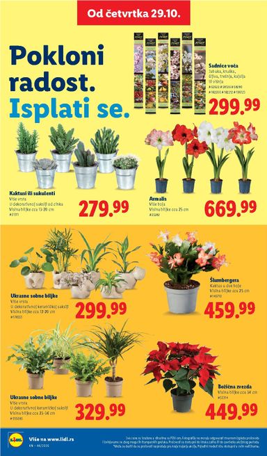 Katalog Lidl - Lidl od 29.10 do 04.11 - strana 74