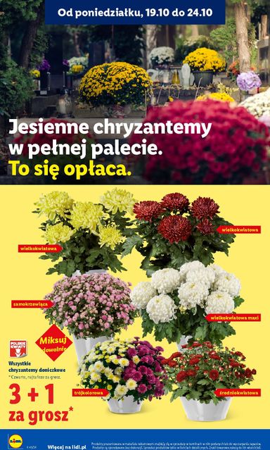 Leták Lidl Polsko - Lidl Polsko od 22.10. do 24.10. - strana 102