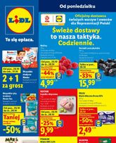 Lidl Polsko leták