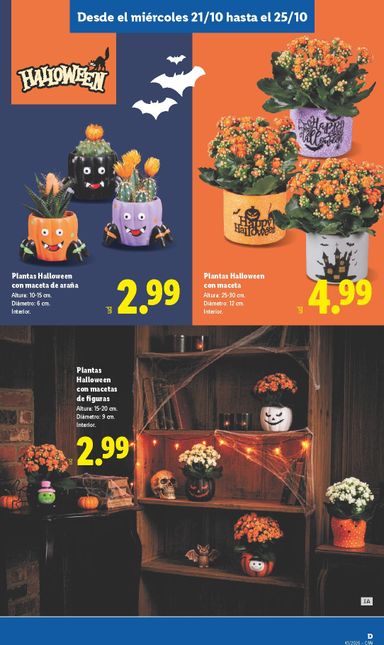 Folleto Lidl - Lidl - Islas Canarias del 19/10 al 25/10 - página 27