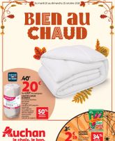 Auchan folder