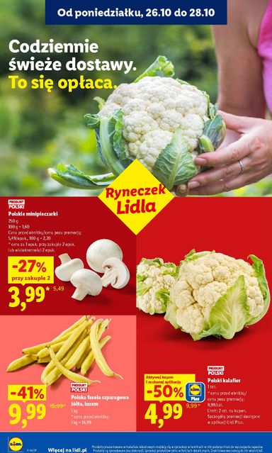 Gazetka Lidl - Lidl od 26.10. do 31.10. - strona 42