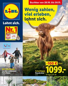 Lidl - Reise-Highlights
