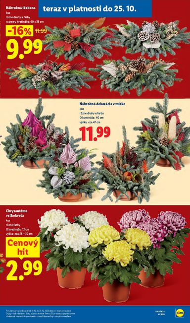 Leták Lidl - Lidl od 19.10. do 25.10. - strana 51