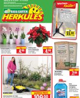 Herkules - Bau & Garten-Prospekt gültig ab Montag 26.10.2026