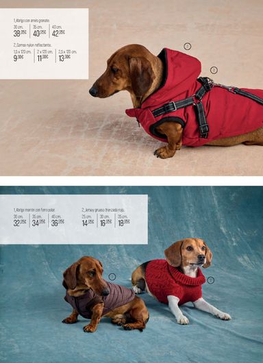 Folleto El Corte Inglés - El Corte Inglés - Especial Mascotas Otoño del 01/10 al 06/01 - página 6