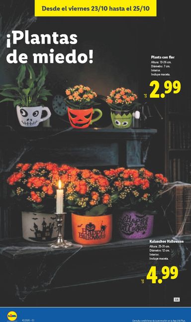 Folleto Lidl - Lidl del 19/10 al 25/10 - página 58