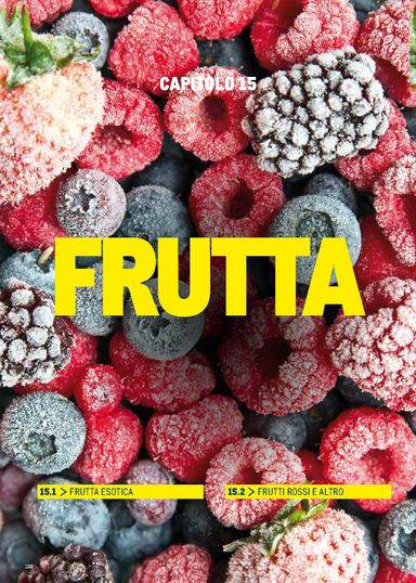 Volantino METRO - Metro - Catalogo Surgelati valido dal 01/01 al 31/12 - pagina 100