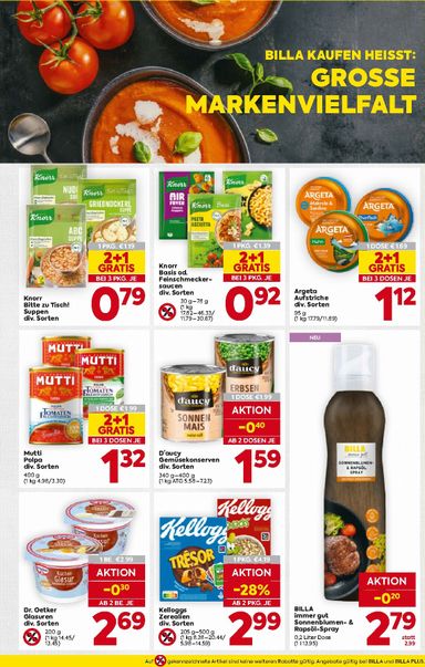 BILLA-Flugblatt - Billa gültig ab 22.10. bis 28.10. - seite 15