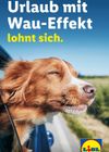 Lidl - Urlaub mit Hund