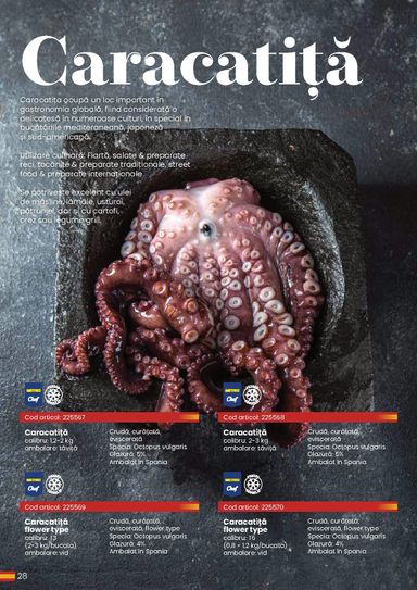 Catalogul Metro - Metro - Eat Spain, drink Spain de la 30.03. până la 31.12. - pagina 28