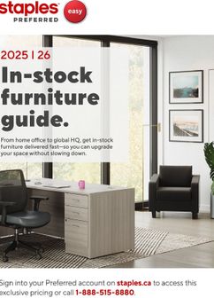 Staples - Business Flyer