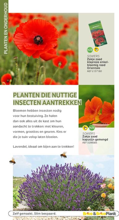 Folder Brico - Brico - Tuin catalogus van 01/03 tot 31/12 - side 106