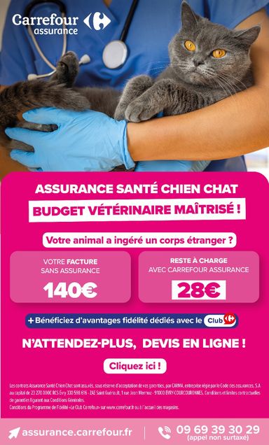 Catalogue Carrefour - Carrefour - Petit Déjeuner valable dès le 03/11 au 16/11 - page 56