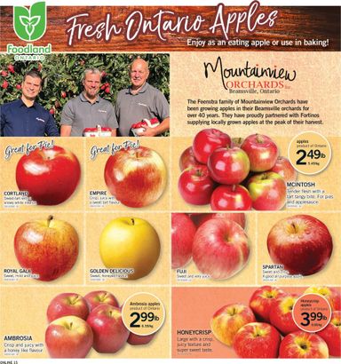 Flyer Fortinos - Fortinos valid since 10-22 until 10-28 - page 13