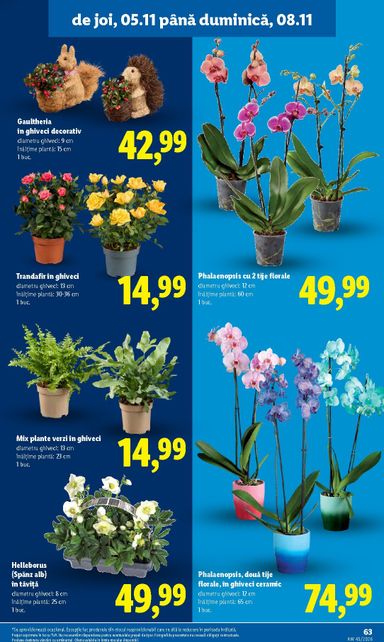 Catalogul Lidl - Lidl - Black deals de la 02.11. până la 08.11. - pagina 63