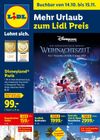 Lidl - Reise-Highlights
