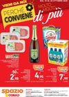 Spazio Conad - Conviene