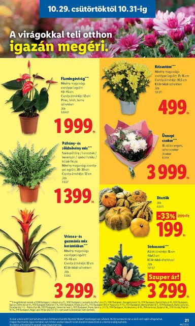 Akciós újság Lidl - Lidl érvényes 10.29.-tól 11.04.-ig - 21 oldal