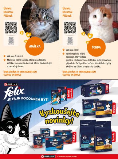 Leták Globus - Globus - Adoptujte kamaráda od 06.09. do 31.10. - strana 12