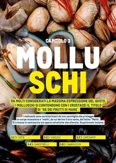 Volantino METRO - Metro - Catalogo Surgelati valido dal 01/01 al 31/12 - pagina 40