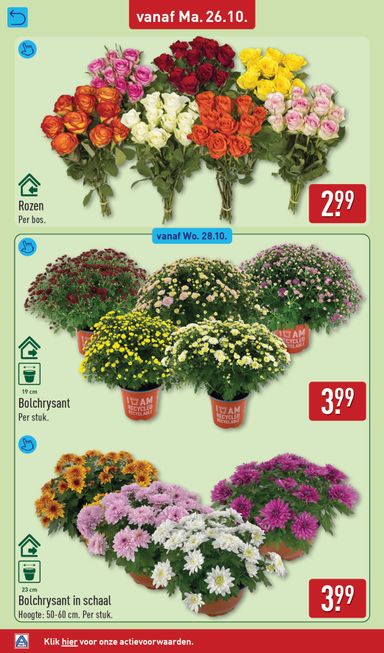 Folder ALDI - ALDI van 26-10 tot 01-11 - side 36