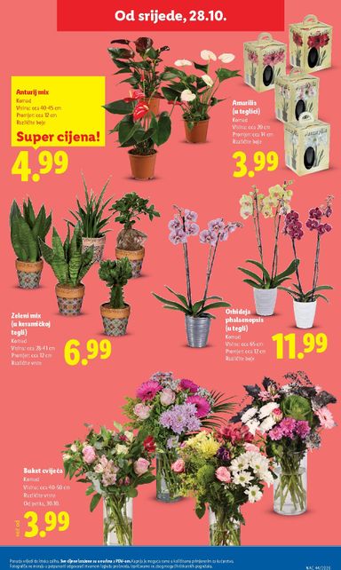 Katalog Lidl - Lidl vrijedi od 26.10. do 31.10. - stranica 63