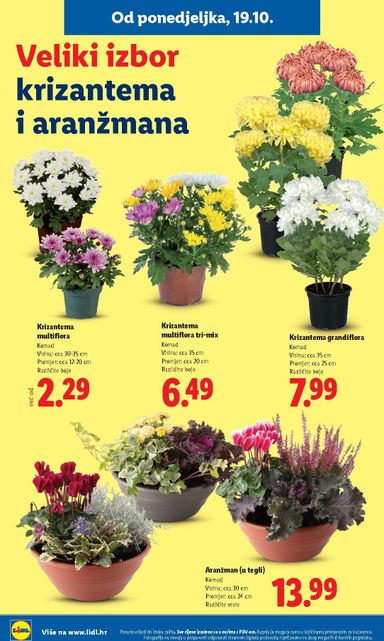 Katalog Lidl - Lidl vrijedi od 19.10. do 25.10. - stranica 54