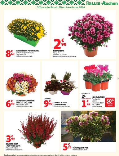 Folder Auchan - Auchan van 20/10 tot 25/10 - side 37