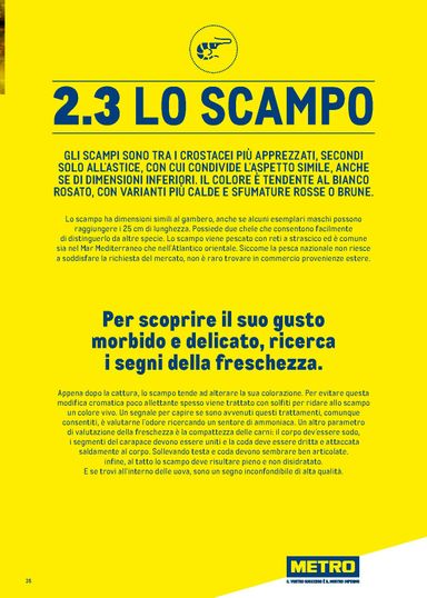Volantino METRO - Metro - Catalogo Surgelati valido dal 01/01 al 31/12 - pagina 35