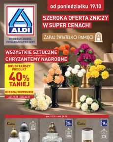 ALDI - Znicze i stroiki