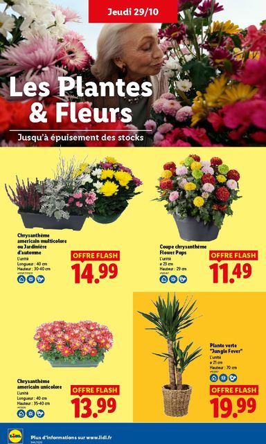 Catalogue Lidl - Lidl valable dès le 29/10 au 04/11 - page 32